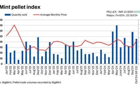 PELLEX rises