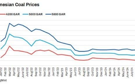 thermal coal